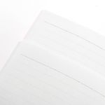 Paquete-de-libretas-de-notas-de-pasta-dura-2-pzas-40-hojas-We-Bare-Bears-2-4216