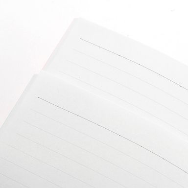 Paquete de libretas de notas de pasta dura 2 pzas 40 hojas -  We Bare Bears