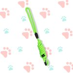 Correa-para-mascota-mediano-1-150cm-amarillo-fluorescente-Miniso-3-7045