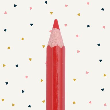 Lápices de colores duo 12 pzs manga -  Miniso