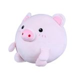 Peluche-de-cerdito-rosa-Miniso-1-491