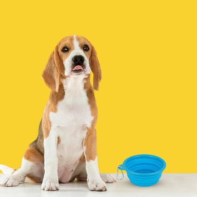 Tazón plegable portátil de mascota pet series mediano azul - Miniso
