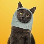 Sombrero-para-mascota-de-dinosaurio-peque-o-pet-series-2-0-Miniso-5-6814
