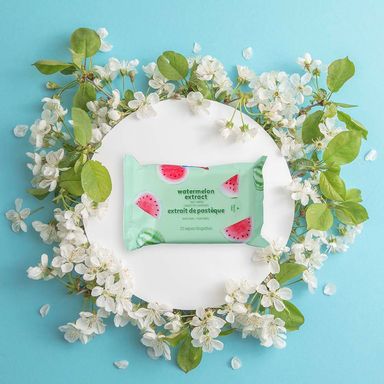 Toallitas húmedas con extracto de sandía (20 toallitas × 4 paquetes) -  Miniso