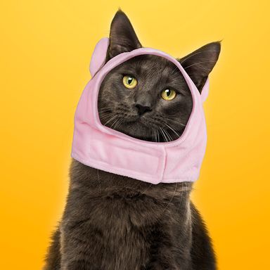 Sombrero para mascota de cerdo pequeño pet series 2.0 -  Miniso