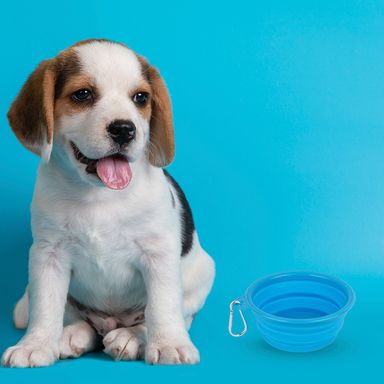 Tazón plegable portátil de mascota pet series pequeño azul -  Miniso