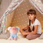 Peluche-de-cerdo-sentado-10-pulgadas-con-sombrero-de-koala-Miniso-7-11034