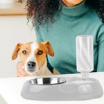 Bowl-para-comida-y-plato-para-agua-pet-series-2-0-500ml-Miniso-5-6825