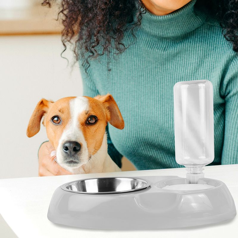 Bowl-para-comida-y-plato-para-agua-pet-series-2-0-500ml-Miniso-5-6825