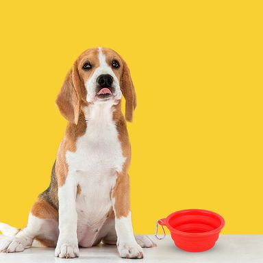 Tazón plegable portátil de mascota pet series mediano rojo -  Miniso
