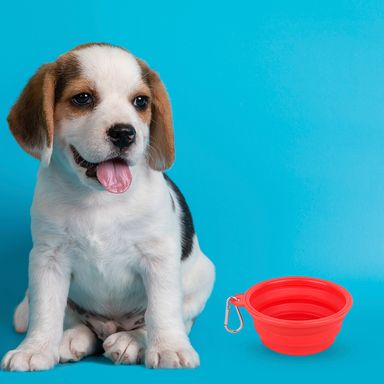Tazón plegable portátil de mascota pet series pequeño rojo -  Miniso