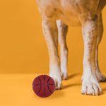 Peluche-para-mascota-baloncesto-ball-sound-series-Miniso-4-4694