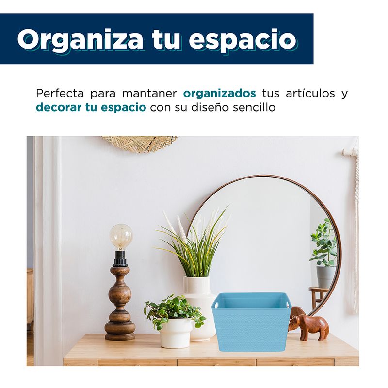 Organizador plastico azul 10 cms plastiken 89100-azul pl