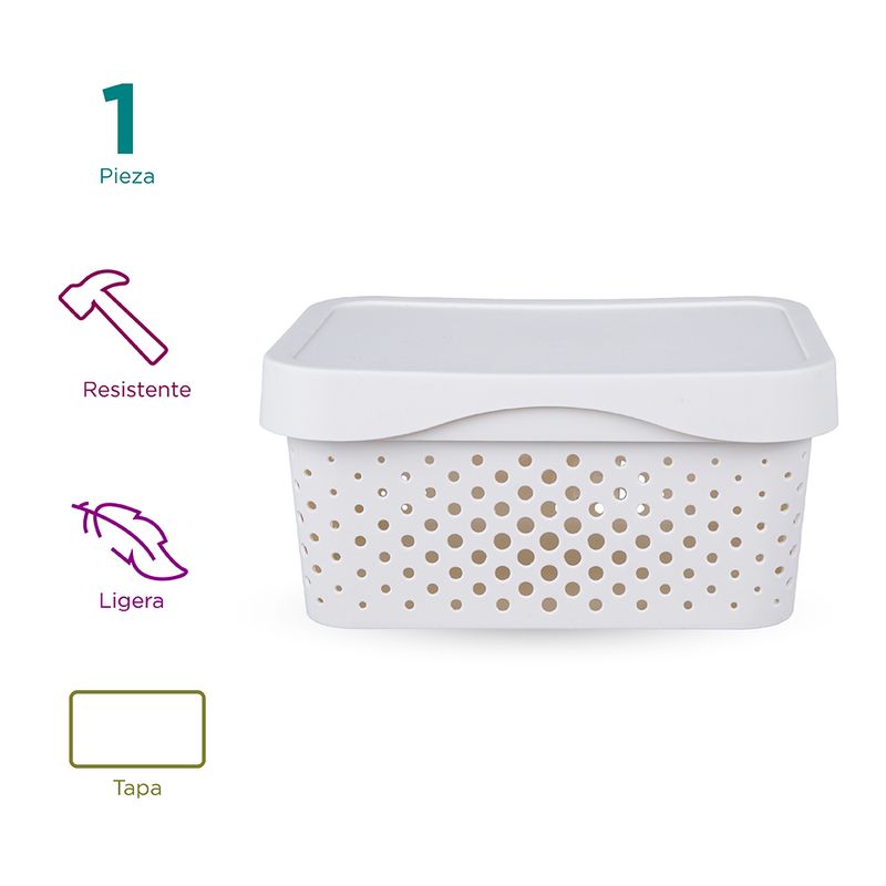 Organizador-de-plastico-minimalista-con-tapa-25-8x18x12-3cm-Miniso-3-10831