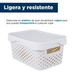 Organizador-de-plastico-minimalista-con-tapa-25-8x18x12-3cm-Miniso-4-10831