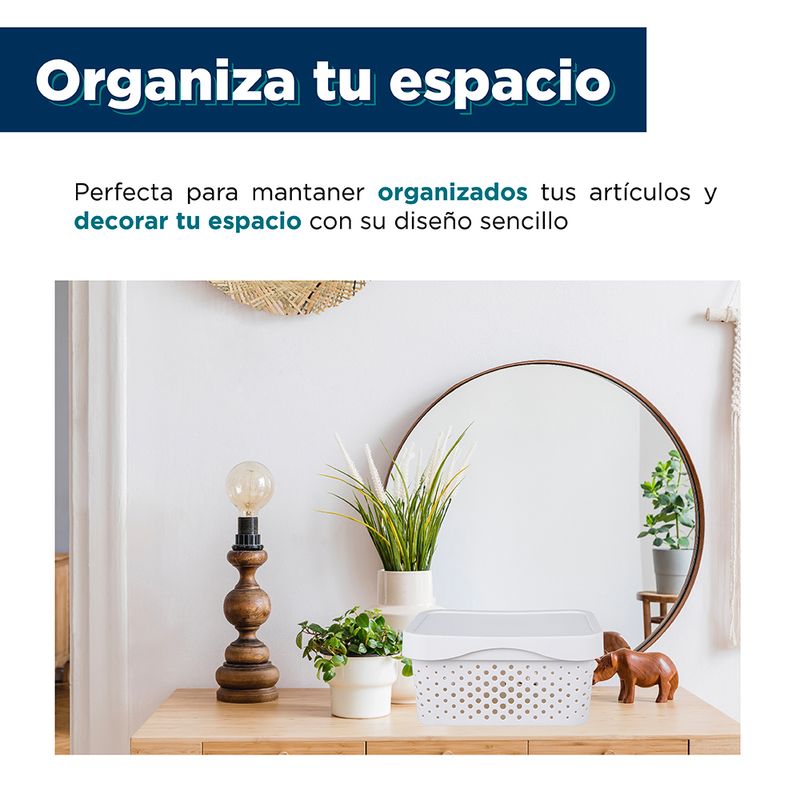 Organizador-de-plastico-minimalista-con-tapa-25-8x18x12-3cm-Miniso-5-10831