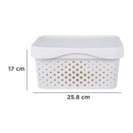 Organizador-de-plastico-minimalista-con-tapa-25-8x18x12-3cm-Miniso-8-10831