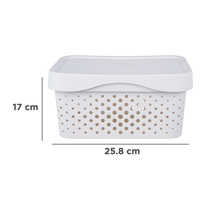 Organizador-de-plastico-minimalista-con-tapa-25-8x18x12-3cm-Miniso-8-10831