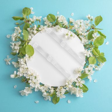 Tirantes de brasier transparentes 2 pares -  Miniso