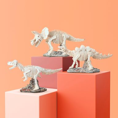 Juguete arqueológico de excavación de fósil de dinosaurio modelos mixtos - Miniso
