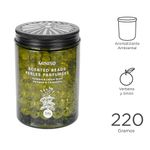 Aromatizante-perfumado-forest-fireflies-series-verbena-y-hierba-de-lim-n-Miniso-3-7778