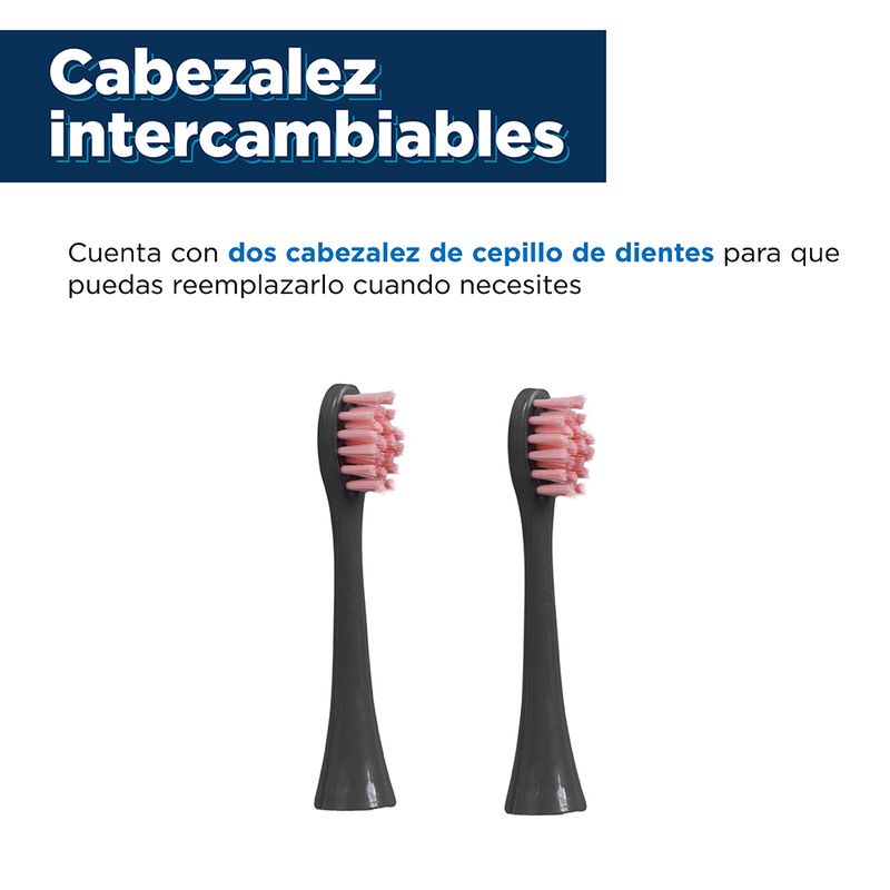 Cepillo-dental-el-ctrico-modelo-hr2103-de-panda-we-bare-bears-collection-4-0-We-Bare-Bears-5-10179
