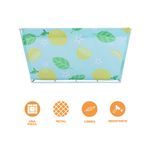 Organizadores-de-acero-de-la-serie-lim-n-L-aqua-35x25x18-cm-Miniso-3-12857