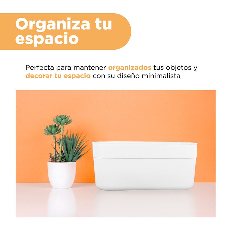 Caja-de-pl-stico-con-tapa-grande-blanco-Miniso-4-6547