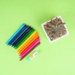 Lapices-de-colores-c-57-crayon-11-5cm-12-pzas-miniso-Miniso-4-12616