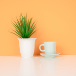 Juego-de-taza-de-caf-y-posavasos-de-cer-mica-90-ml-verde-Miniso-2-13892