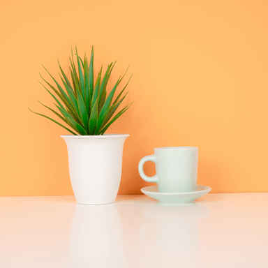 Juego de taza de café y posavasos de cerámica 90 ml verde -  Miniso
