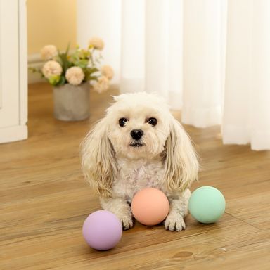 Juguetes para mascotas pelotas de la serie macaron bola que rebota 6.3cm x 6.3cm x 6.3cm -  Miniso
