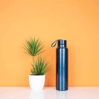 Termo de acero inoxidable con correa para deportes azul 950 ml -  Miniso