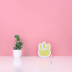 Monedero-miniso-colecci-n-dinosaurios-huella-amarillo-Miniso-2-14308