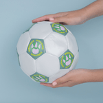 Miniso-sports-dinosaur-series-bal-n-de-f-tbol-tama-o-4-Miniso-2-14364