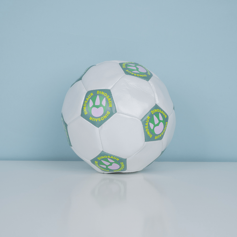 Miniso-sports-dinosaur-series-bal-n-de-f-tbol-tama-o-4-Miniso-4-14364