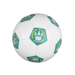 Miniso-sports-dinosaur-series-bal-n-de-f-tbol-tama-o-4-Miniso-1-14364