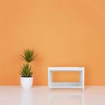 Organizador-de-pl-stico-de-dos-capas-24-cm-Miniso-6-14883