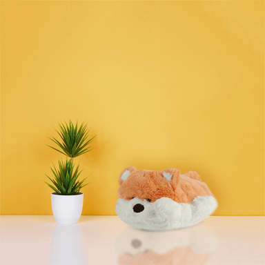 Peluche shiba inu 30cm -  Miniso