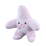 Peluche-ocean-series-3-0-de-estrella-de-mar-rosa-Miniso-1-15734