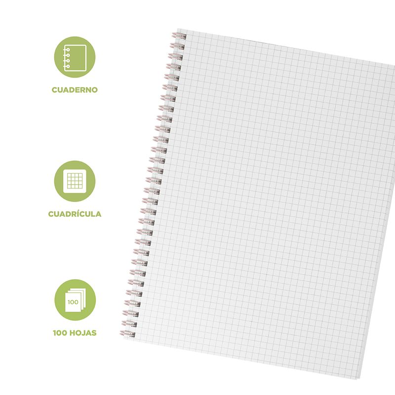 Libretas-y-cuadernos-de-rayas-serie-verde-menta-19x26cm-100-hojas-26cm-x-19cm-miniso-Miniso-3-14581