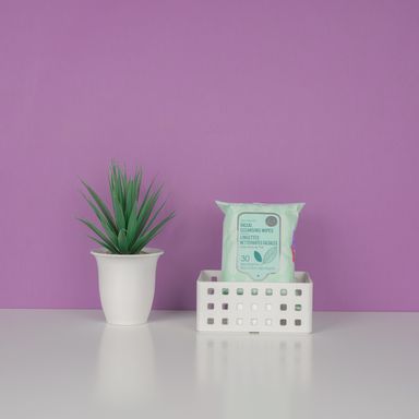 Toallitas desmaquillantes de aceite de árbol de te 30 toallitas -  Miniso