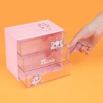 Organizador-de-pl-stico-para-cajones-de-la-colecci-n-disney-cat-marie-rosa-Disney-Cat-Collection-2-18828