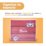 Organizador-de-pl-stico-para-cajones-de-la-colecci-n-disney-cat-marie-rosa-Disney-Cat-Collection-4-18828