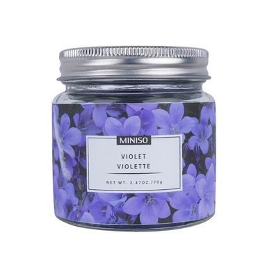 Vela de jarra garden series violeta 70 gr -  Miniso