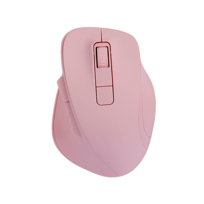 MOUSE