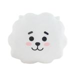 Coj-n-en-forma-de-cabeza-RJ-40cm-serie-bt21-BT21-1-20414