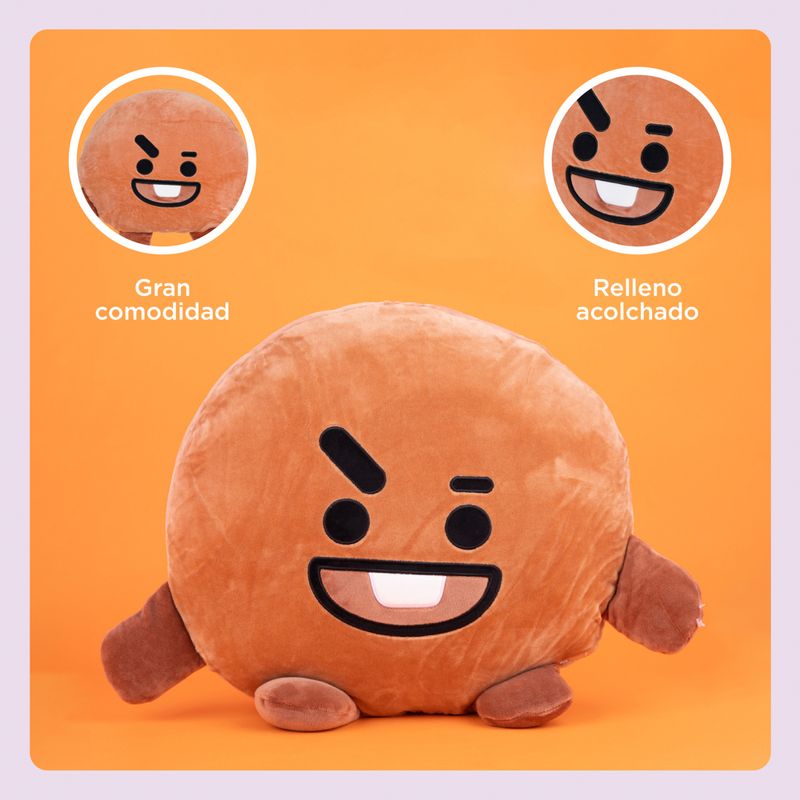 Coj-n-en-forma-de-cabeza-shooky-40cm-serie-bt21-BT21-5-20417