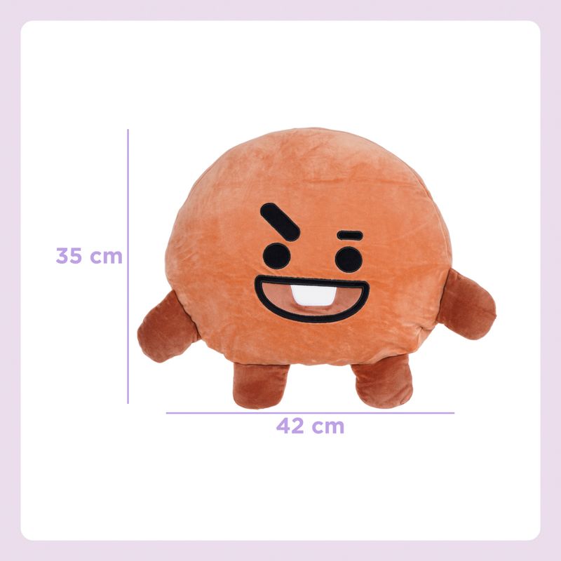 Coj-n-en-forma-de-cabeza-shooky-40cm-serie-bt21-BT21-7-20417
