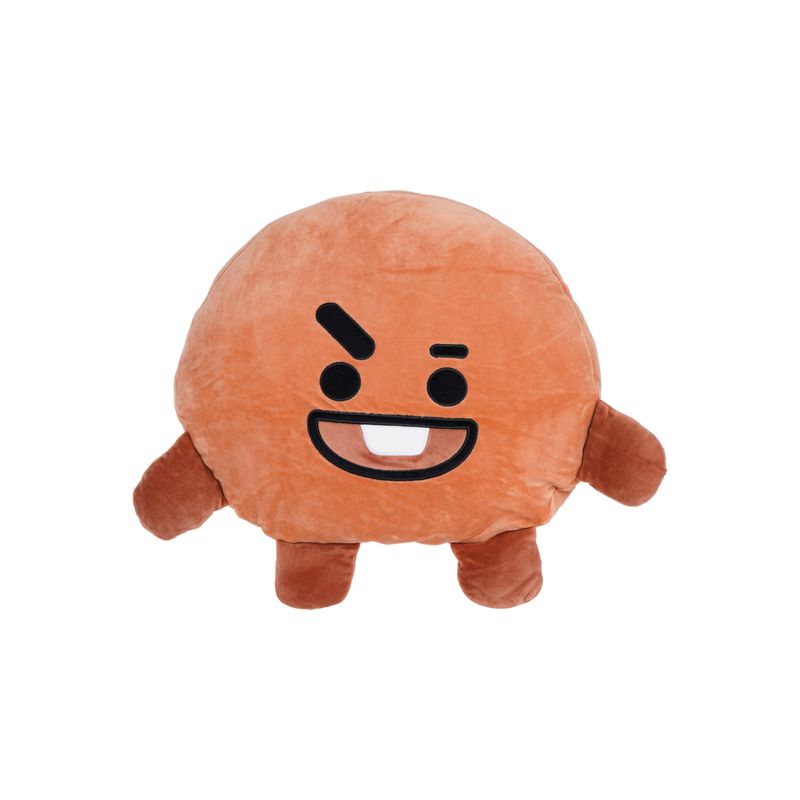 Coj-n-en-forma-de-cabeza-shooky-40cm-serie-bt21-BT21-1-20417